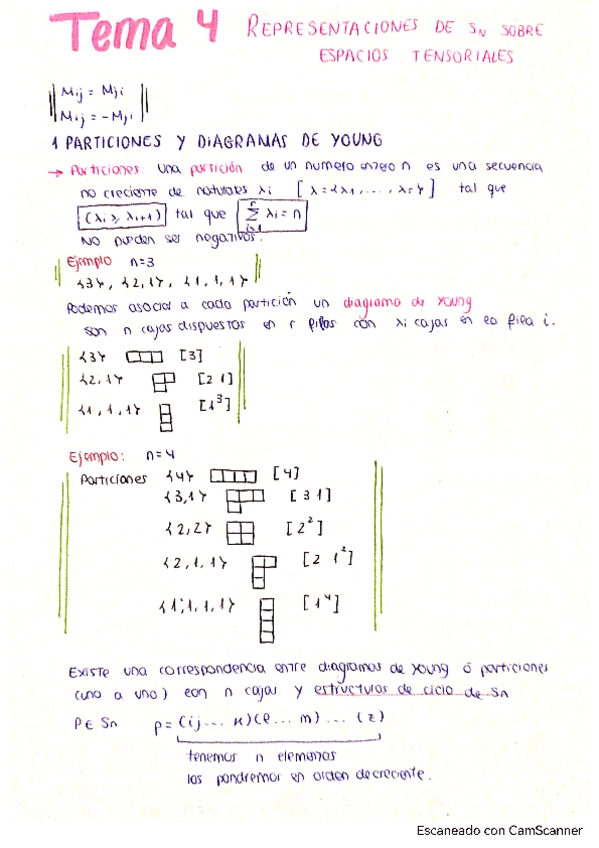 Miniatura del documento Tema-4-Fisica-Matematica.pdf