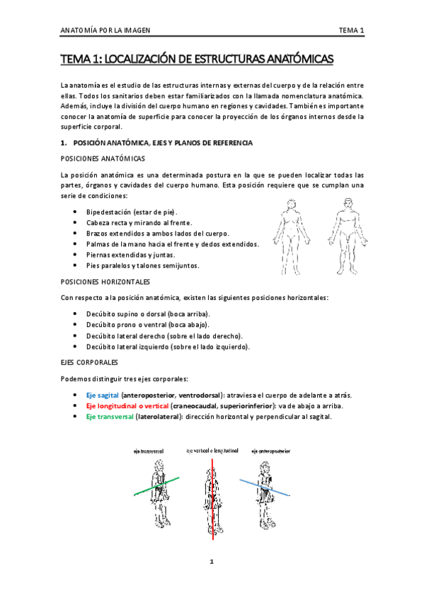 Miniatura del documento TEMA-1 ANATOMIA.pdf