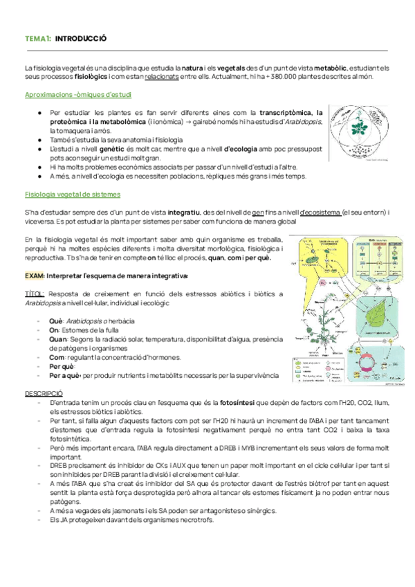 Miniatura del documento APUNTS-FISIO-VEG-INTEGRATIVA.pdf