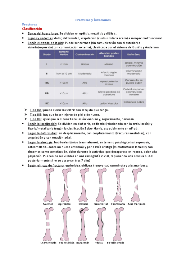 Miniatura del documento TODA-LA-TEORIA-original.pdf