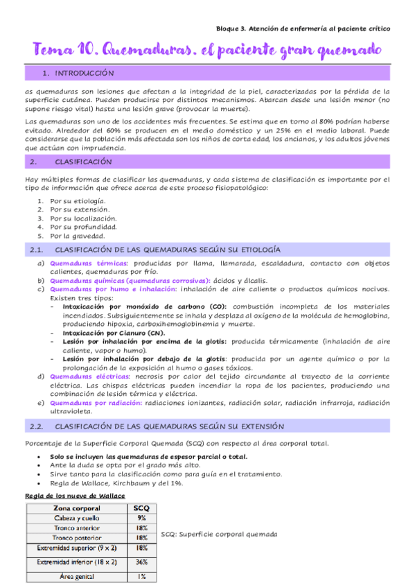 Miniatura del documento Tema-10.-Quemaduras.-el-paciente-gran-quemado.pdf
