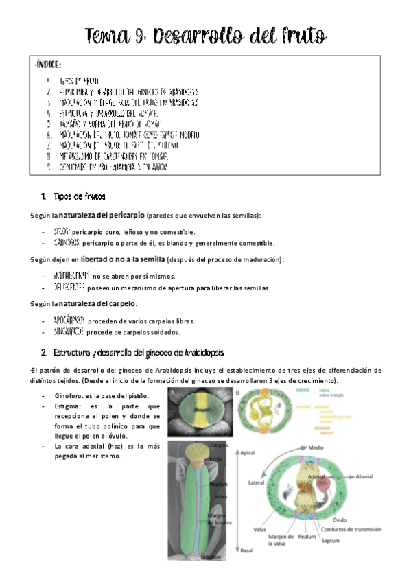 Miniatura del documento Tema-9-bases.pdf