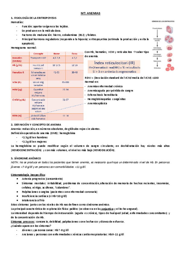 Miniatura del documento M7.-Sindrome-anemico.pdf