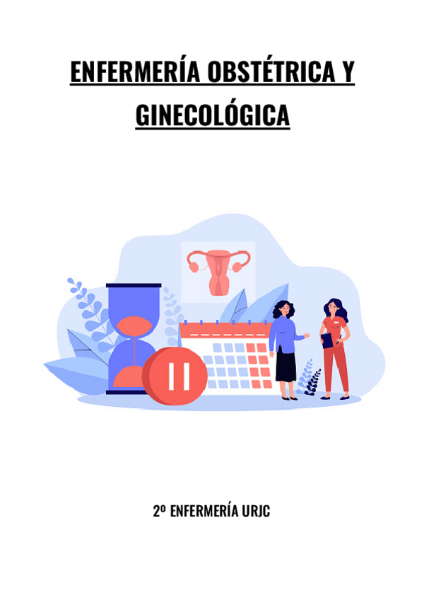 Miniatura del documento Enfermeria-Obstetrica-y-Ginecologica-COMPLETO.pdf