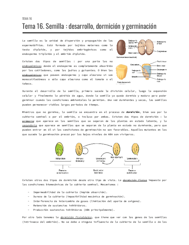Miniatura del documento Tema-16.-Semilla--desarrollo-dormicion-y-germinacion.pdf