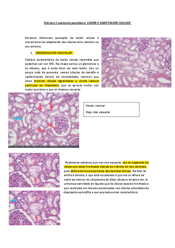 Miniatura del documento Practicas-APX..pdf