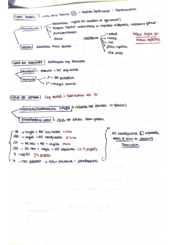Miniatura del documento RESUMEN TRATAMIENTO ONCOLOGÍA.pdf