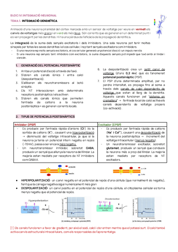 Miniatura del documento NEURO-2NA-PART.pdf