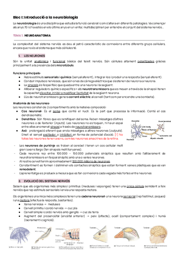 Miniatura del documento NEURO-1RA-PART.pdf