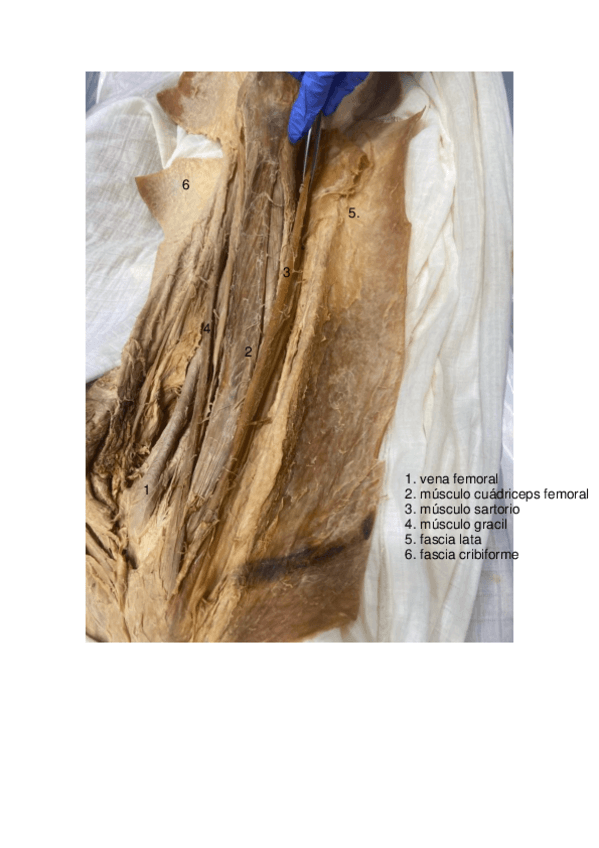 Miniatura del documento maquetas-resueltas-2023.pdf