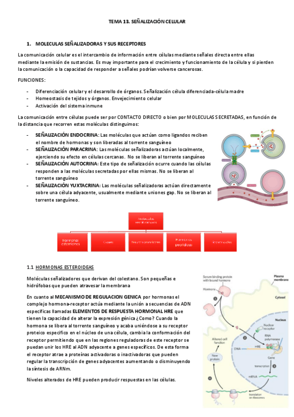 Miniatura del documento TEMA-13-PROCESOS-III.pdf