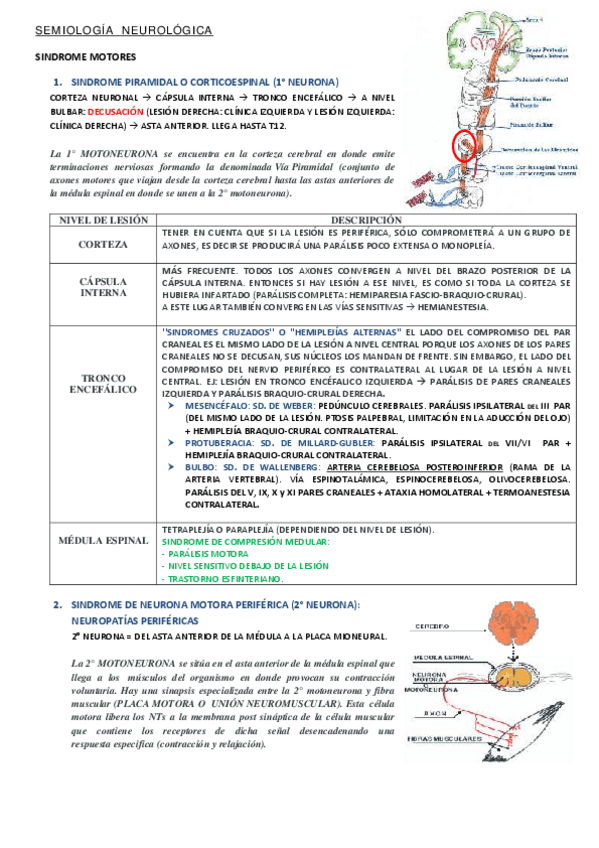 Miniatura del documento NEURO.pdf