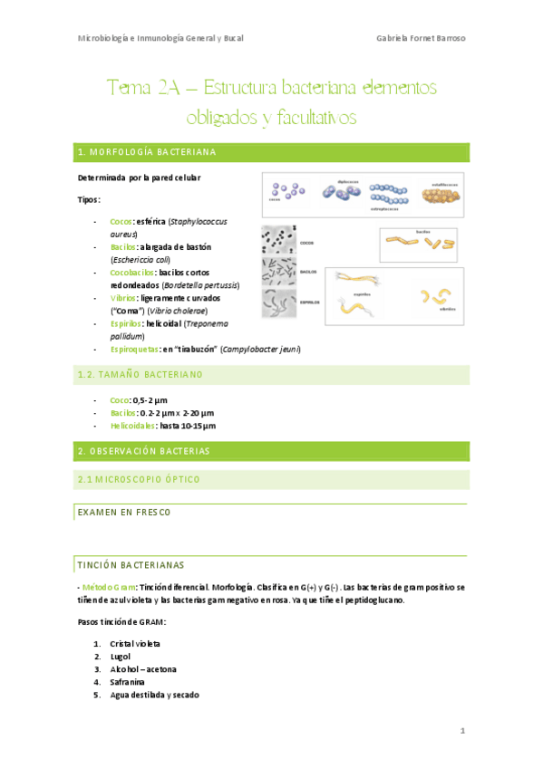 Miniatura del documento Tema-2ABC-Estructura-bacteriana-elementos-obligados-y-facultativos.pdf