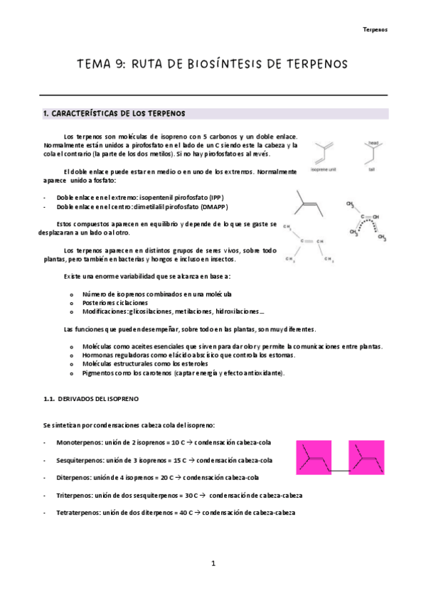 Miniatura del documento Tema-9.pdf