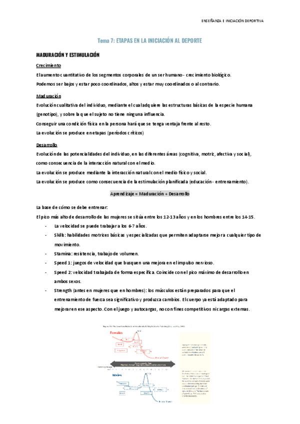 Miniatura del documento Tema-7-Etapas-en-la-iniciacion-al-deporte.pdf