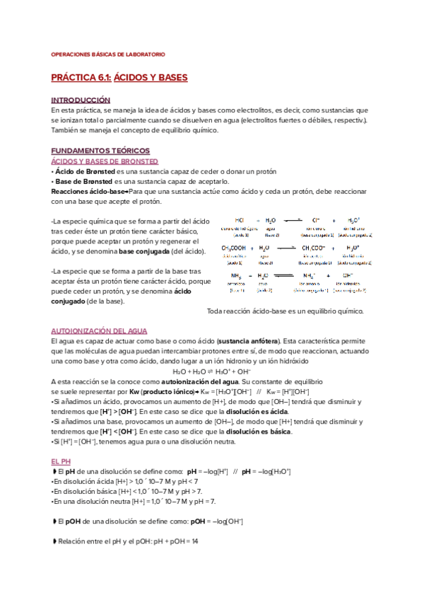 Miniatura del documento PRACTICA-6.1-ACIDOS-Y-BASES.pdf