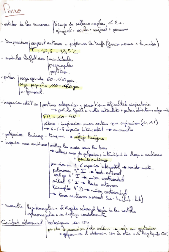 Miniatura del documento practica-perro.pdf