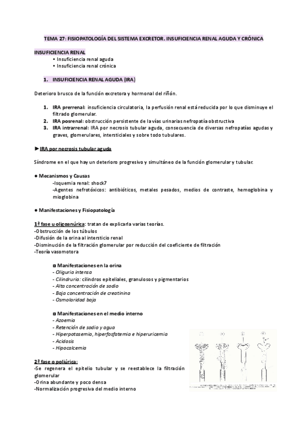 Miniatura del documento TEMA-27-FISIOPATO.pdf