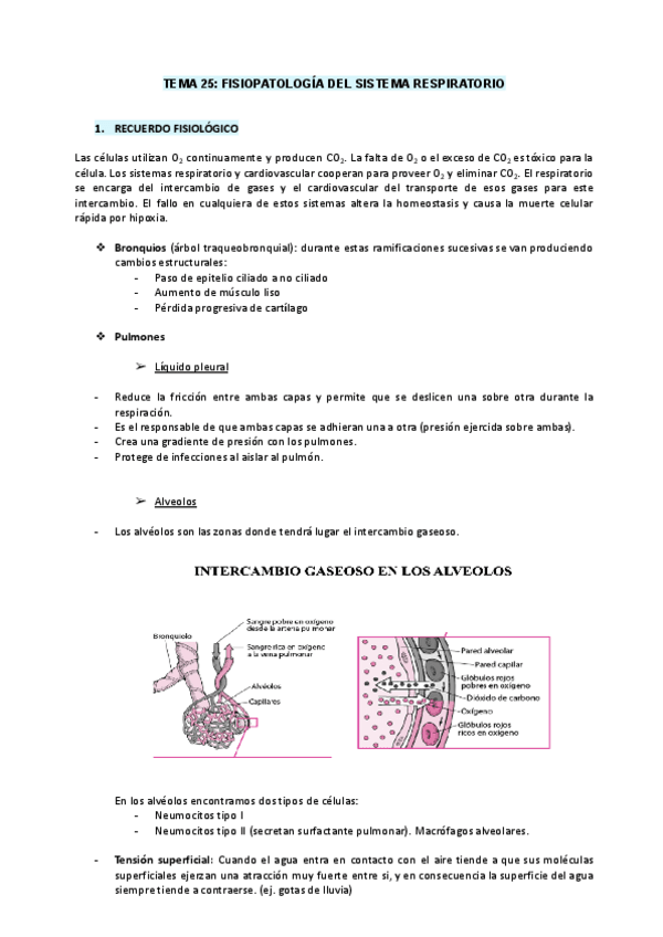 Miniatura del documento segunda-parte-fisiopato.pdf