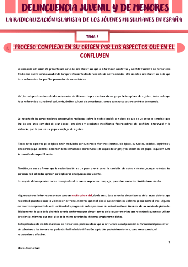 Miniatura del documento TEMA-7-MENORES-PENAL.pdf