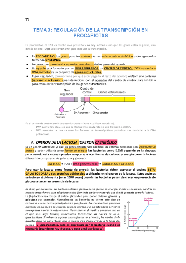Miniatura del documento T3-Regulación de la transcripción en procariotas (Corregido).pdf