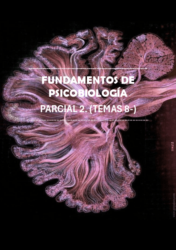 Miniatura del documento segundo-parcial.-fundamentos-de-psicobiologia.pdf
