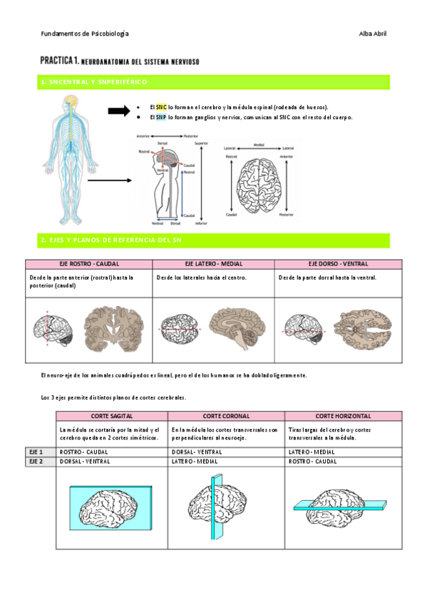 Miniatura del documento practica-1-PBIO.pdf