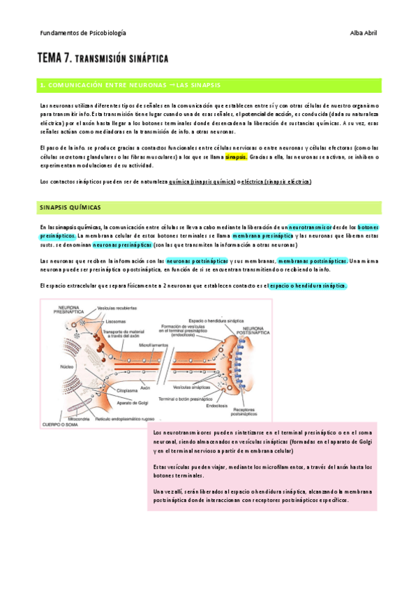 Miniatura del documento Tema-7-PBIO.pdf