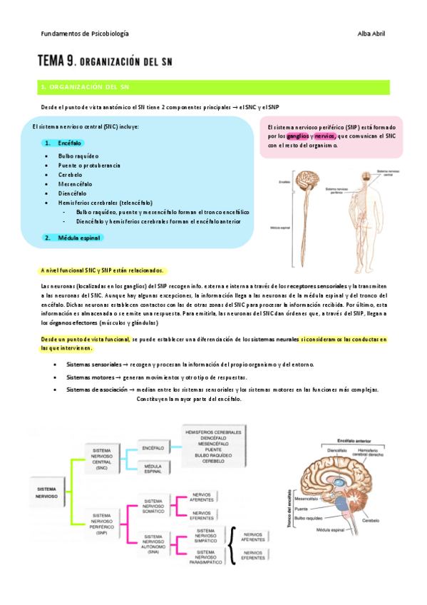 Miniatura del documento Tema-9-PBIO.pdf