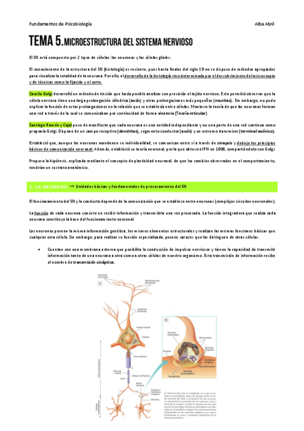 Miniatura del documento Tema-5-PBIO.pdf