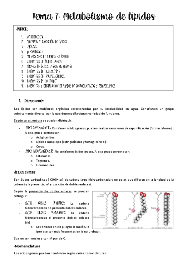 Miniatura del documento Tema-7-metabolismo.pdf