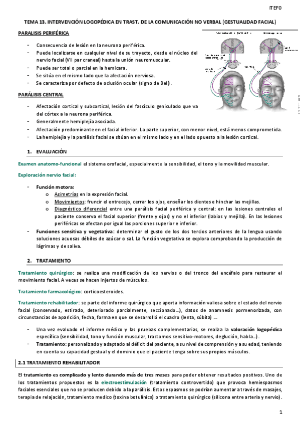 Miniatura del documento TEMA-13.pdf