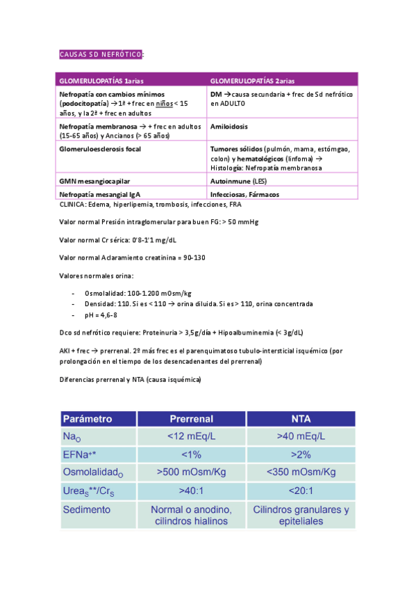 Miniatura del documento DATOS-IMPORTANTES-NEFRO.pdf