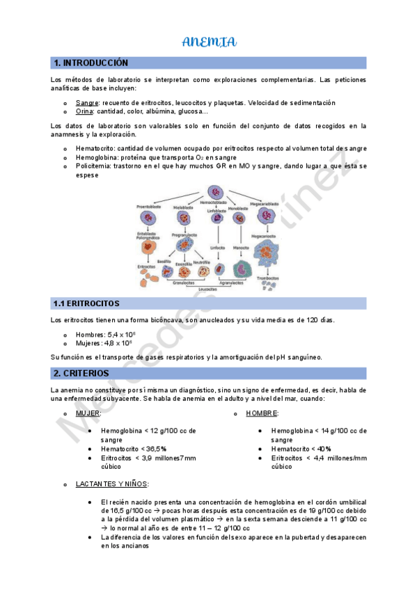 Miniatura del documento ANEMIA.pdf