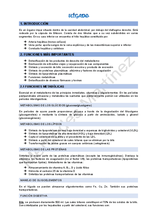 Miniatura del documento HIGADO.pdf