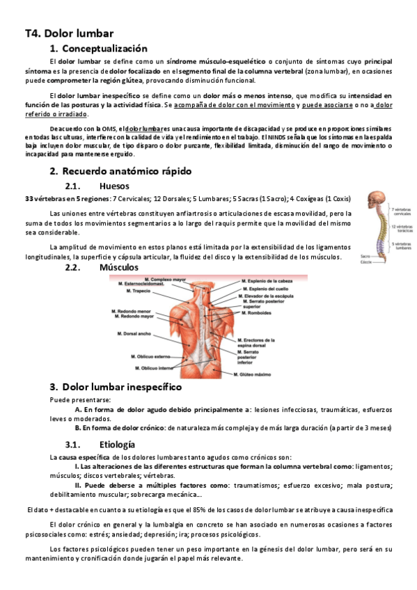 Miniatura del documento T4.-Lesiones-dolor-lumbar.pdf