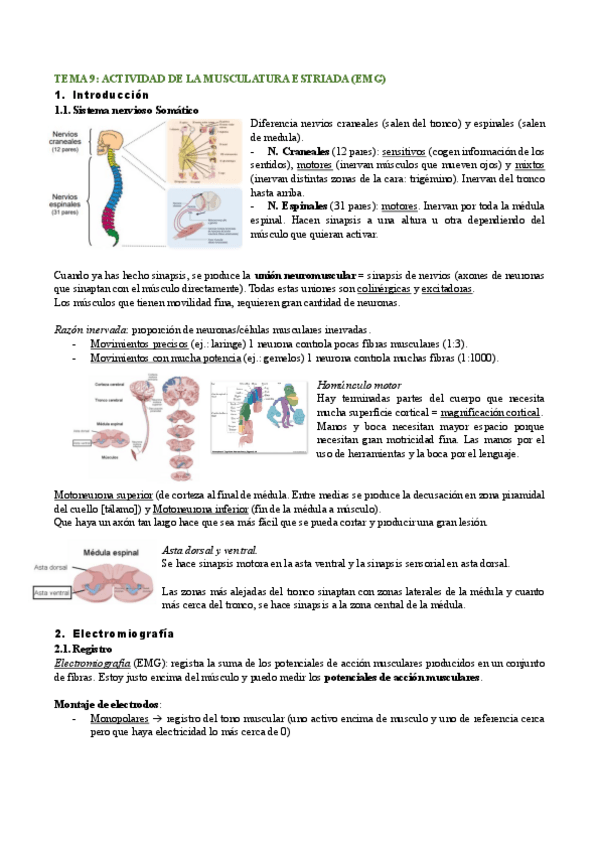 Miniatura del documento T.9-10-NEURO-II.pdf