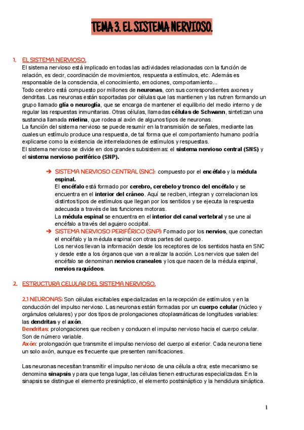 Miniatura del documento EL-SISTEMA-NERVIOSO.pdf