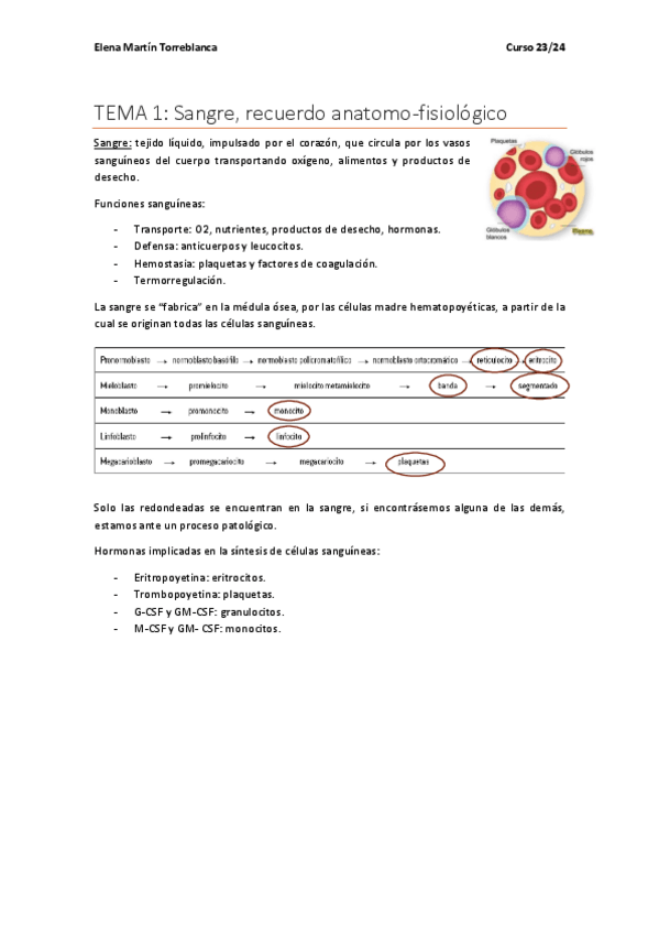Miniatura del documento BLOQUE-HEMATOLOGICO-ADULTO-I.pdf