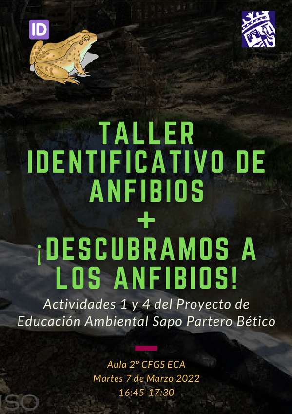 Miniatura del documento Taller-identificativo-de-anfibios.pdf