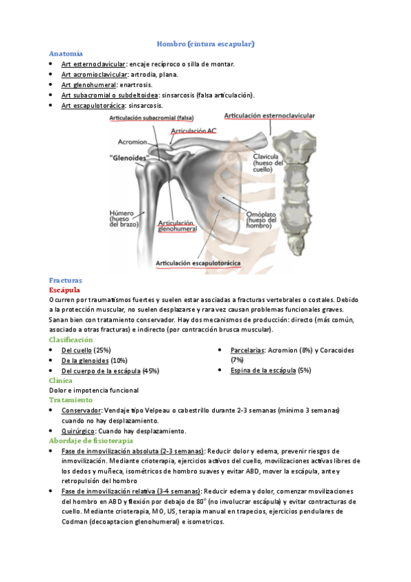Miniatura del documento Seleccion-temas-importantes--tests.pdf