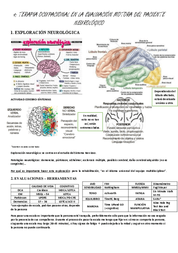 Miniatura del documento neuro-4-evaluacion-motora-del-paciente-neurologico.pdf