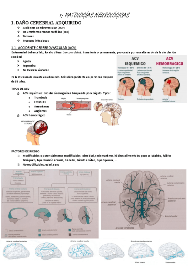 Miniatura del documento neuro-1.-Patologias-neurologicas.pdf