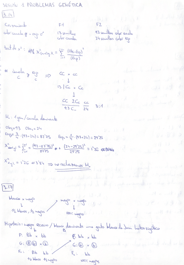 Miniatura del documento problemas-genetica-sesion-1.pdf