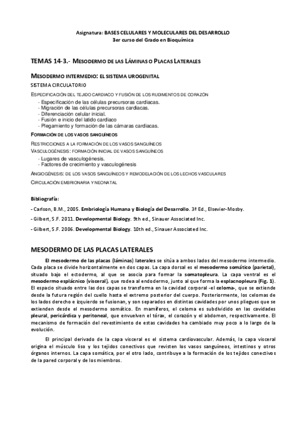 Miniatura del documento SEGUNDA PARTE Lección 14C.pdf