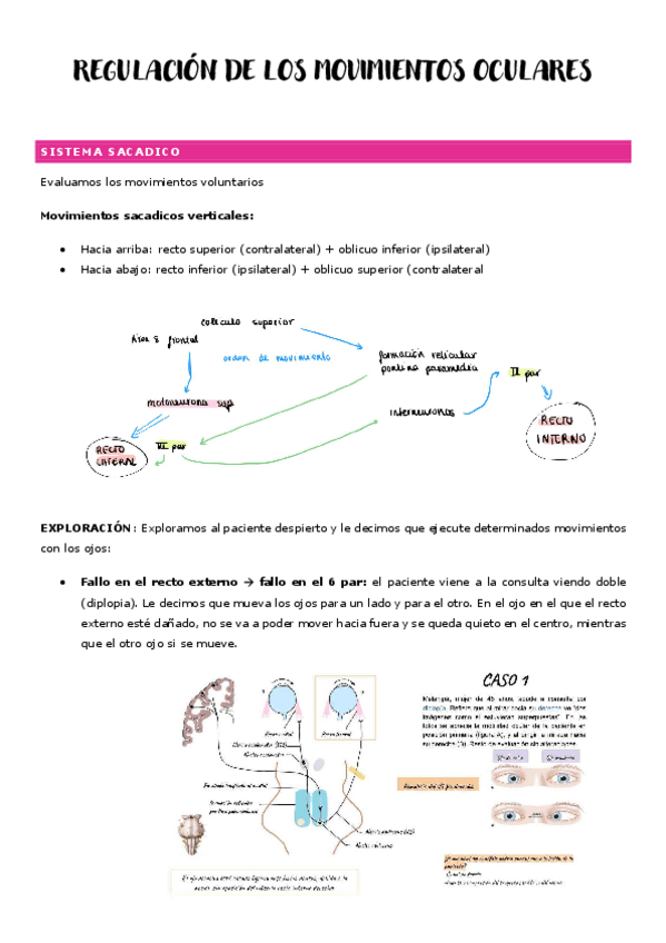 Miniatura del documento regulacion-de-los-movimientos-oculares.pdf