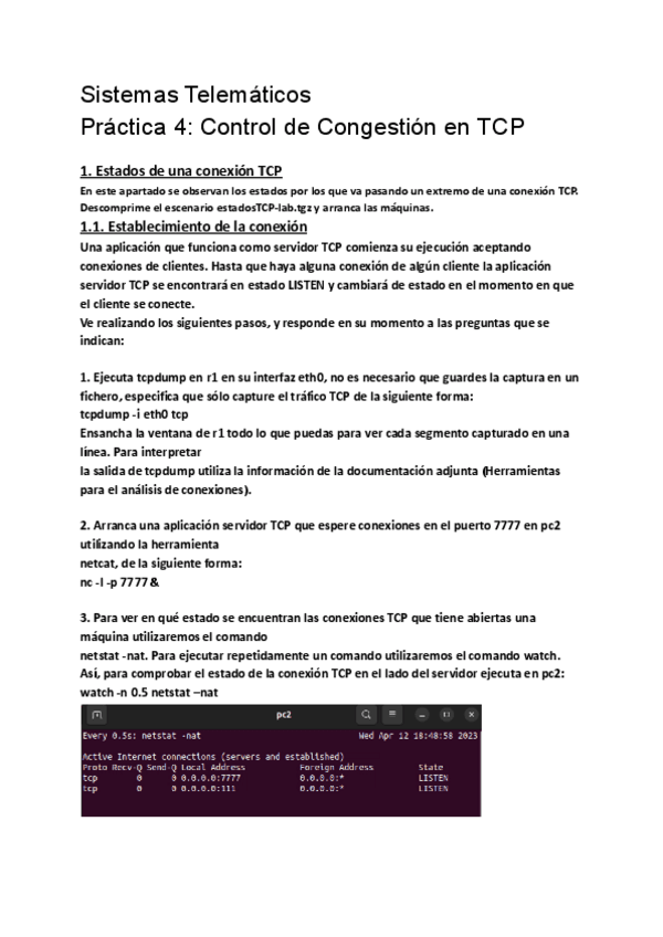 Miniatura del documento P4-Control-de-Congestion-en-TCP.pdf
