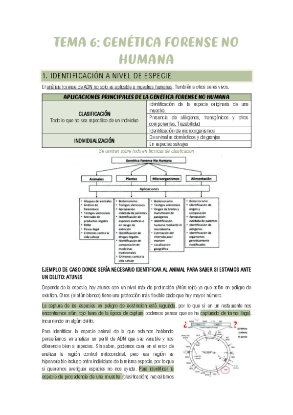 Miniatura del documento TEMA-6-Y-7.pdf