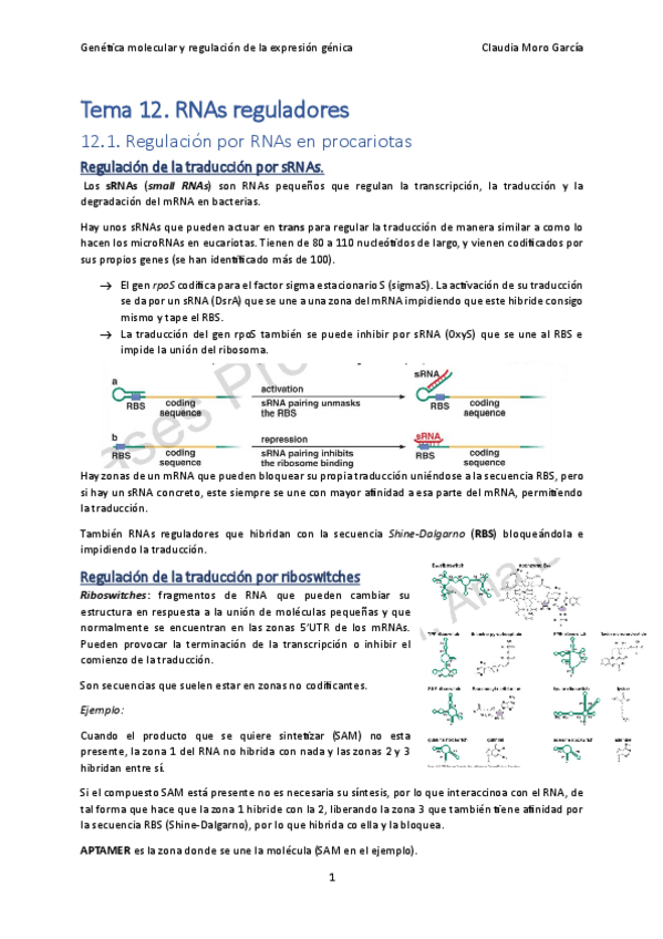Miniatura del documento Tema-12.-RNAs-reguladores.pdf