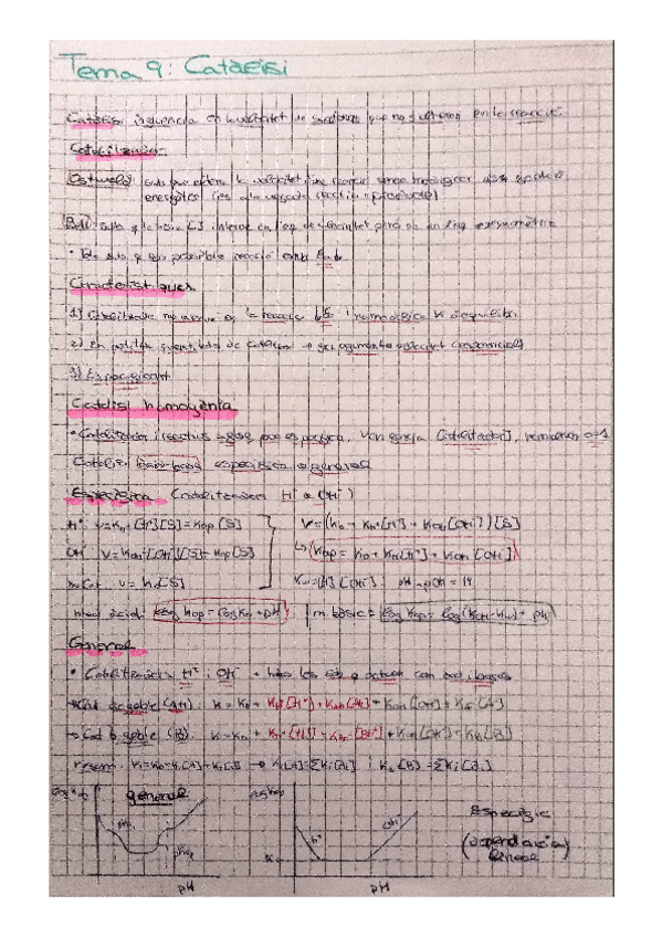 Miniatura del documento Catalisi.pdf